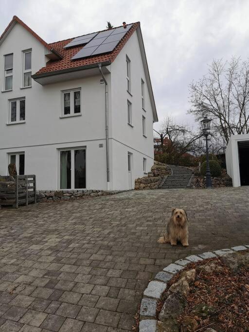 RAuszeit Apartman Nittendorf Kültér fotó